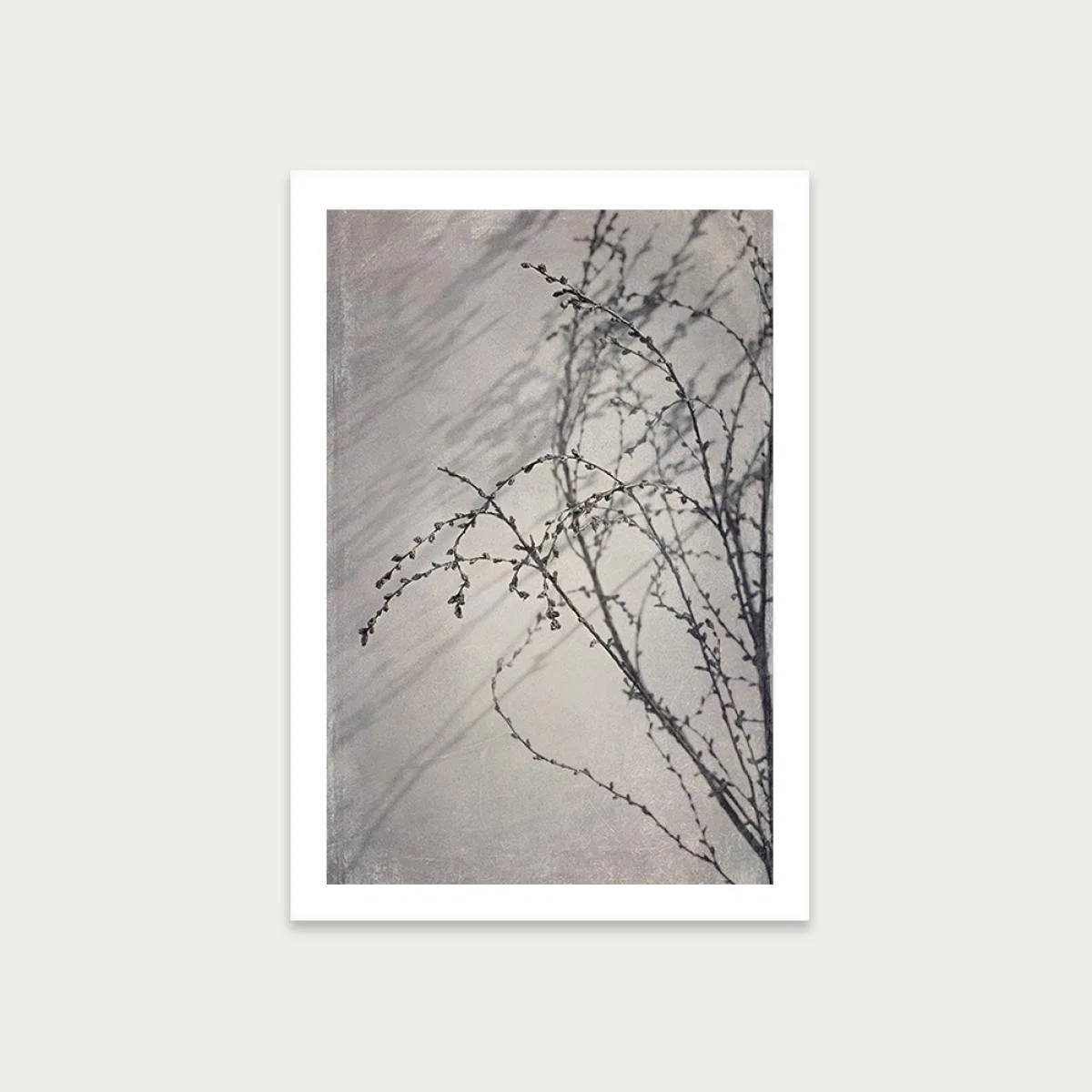 Shadowplay 4 Art Print Unframed