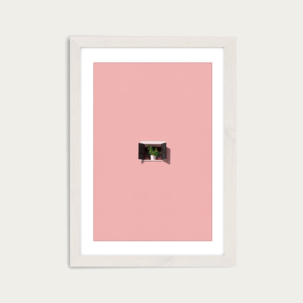 Photosynthesis Art Print White Frame – image 1