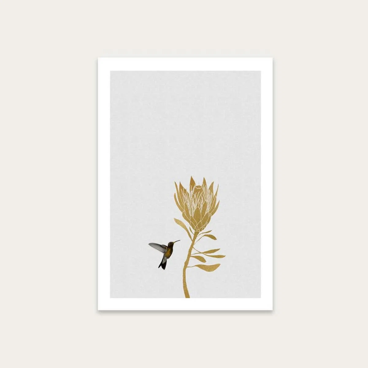 Hummingbird & Flower I Art Print Unframed – image 1