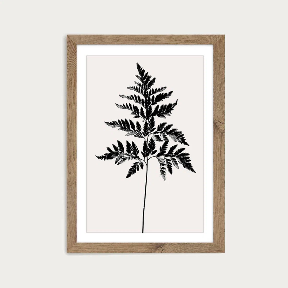 Black Fern - Black Art Print Oak Frame – image 1