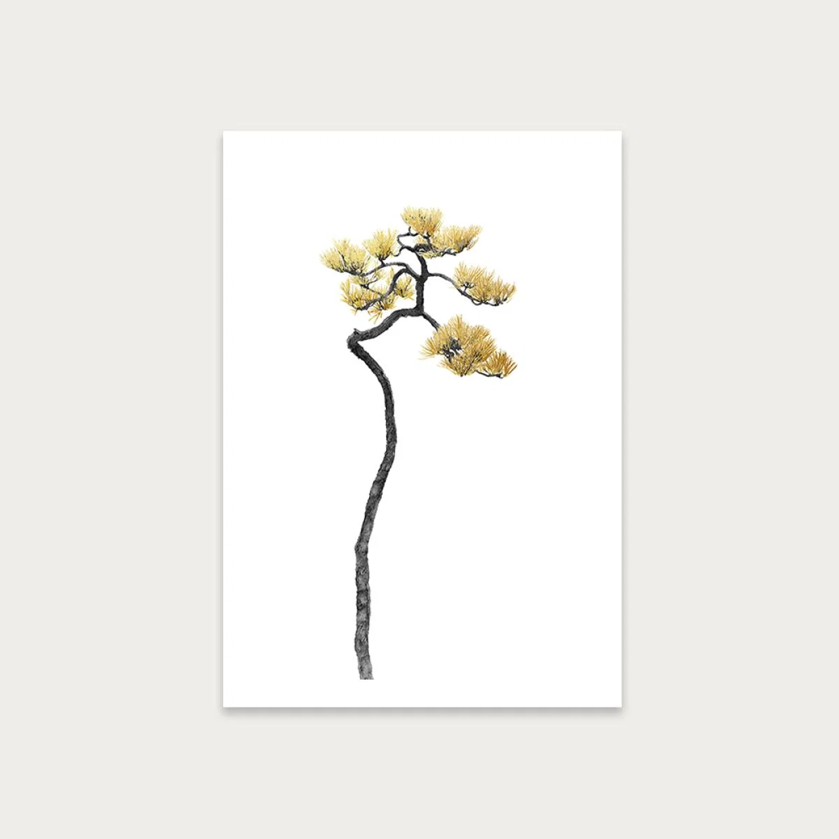 Bonsai Tree 5 Art Print Unframed