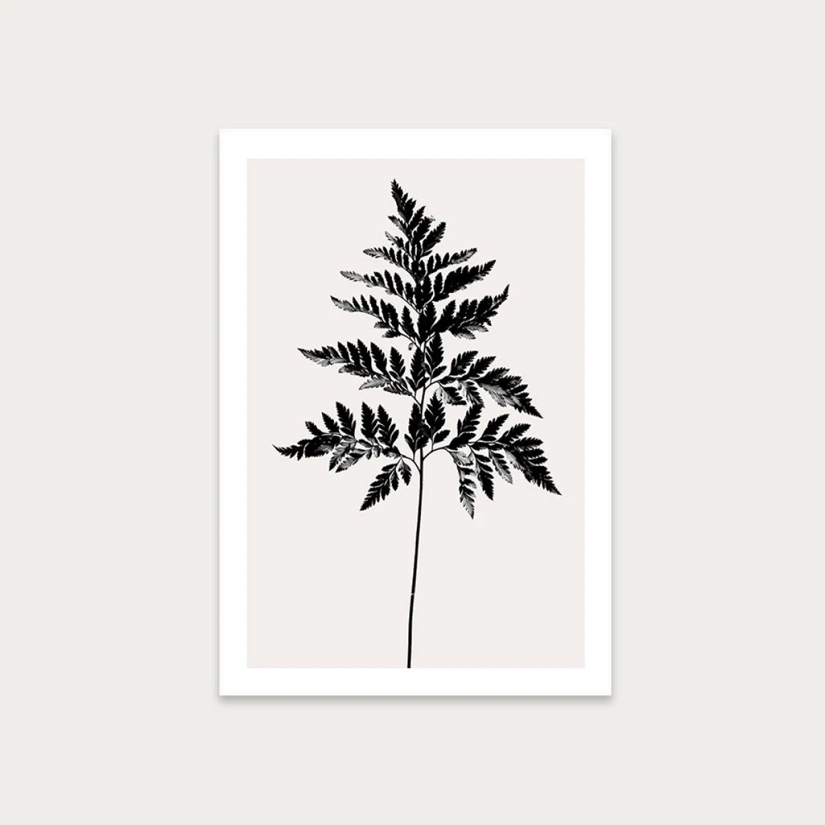 Black Fern - Black Art Print Unframed