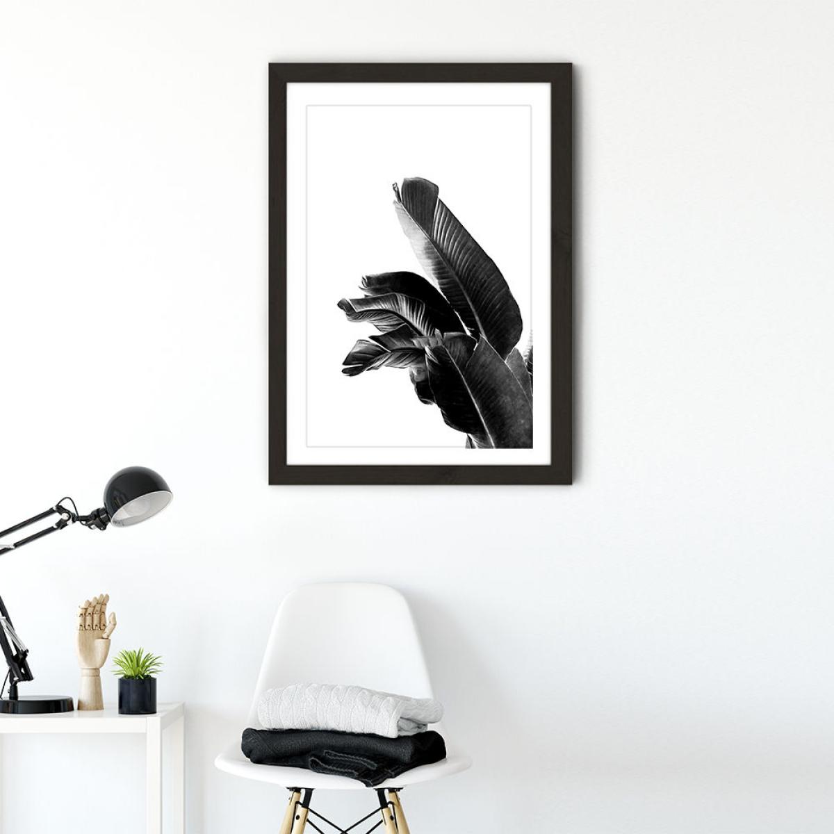 Bird of Paradise Plant Black and White 1 Art Print Black Frame – image 2