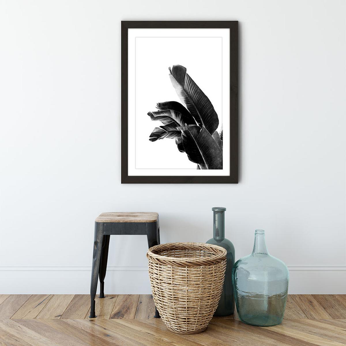 Bird of Paradise Plant Black and White 1 Art Print Black Frame – image 4