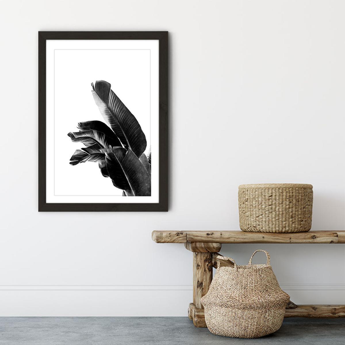 Bird of Paradise Plant Black and White 1 Art Print Black Frame – image 5