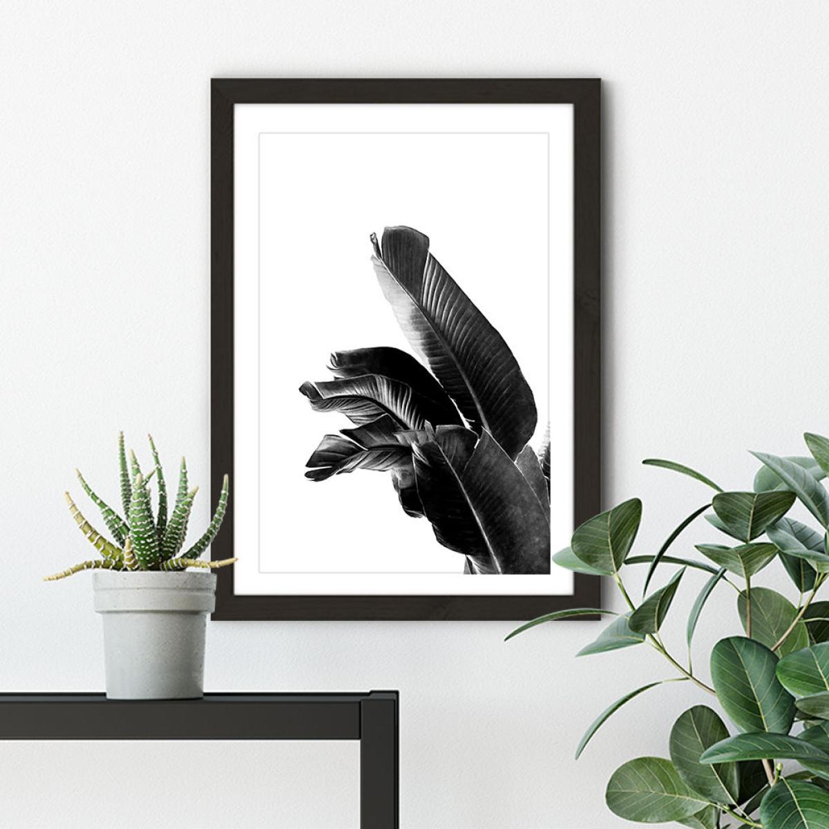 Bird of Paradise Plant Black and White 1 Art Print Black Frame – image 6