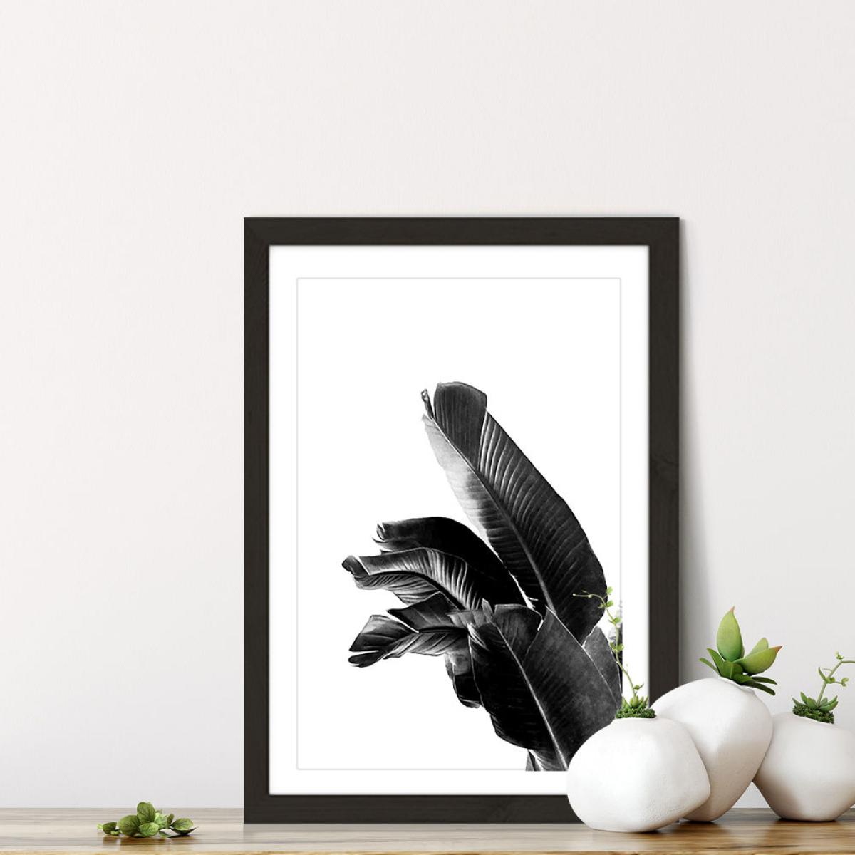 Bird of Paradise Plant Black and White 1 Art Print Black Frame – image 7
