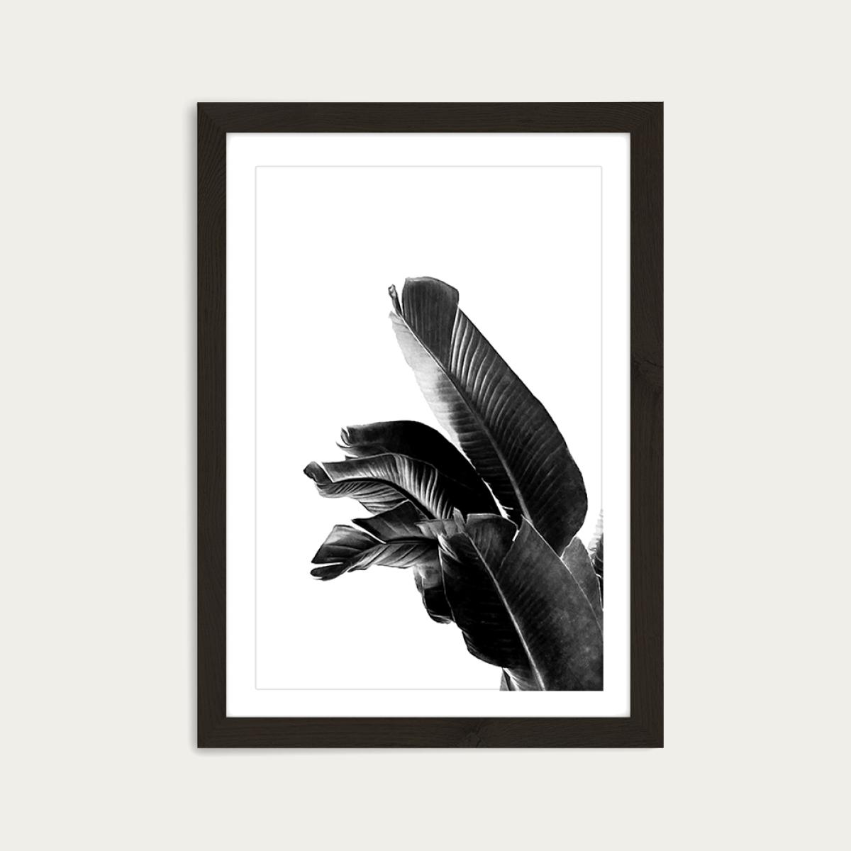Bird of Paradise Plant Black and White 1 Art Print Black Frame – image 1