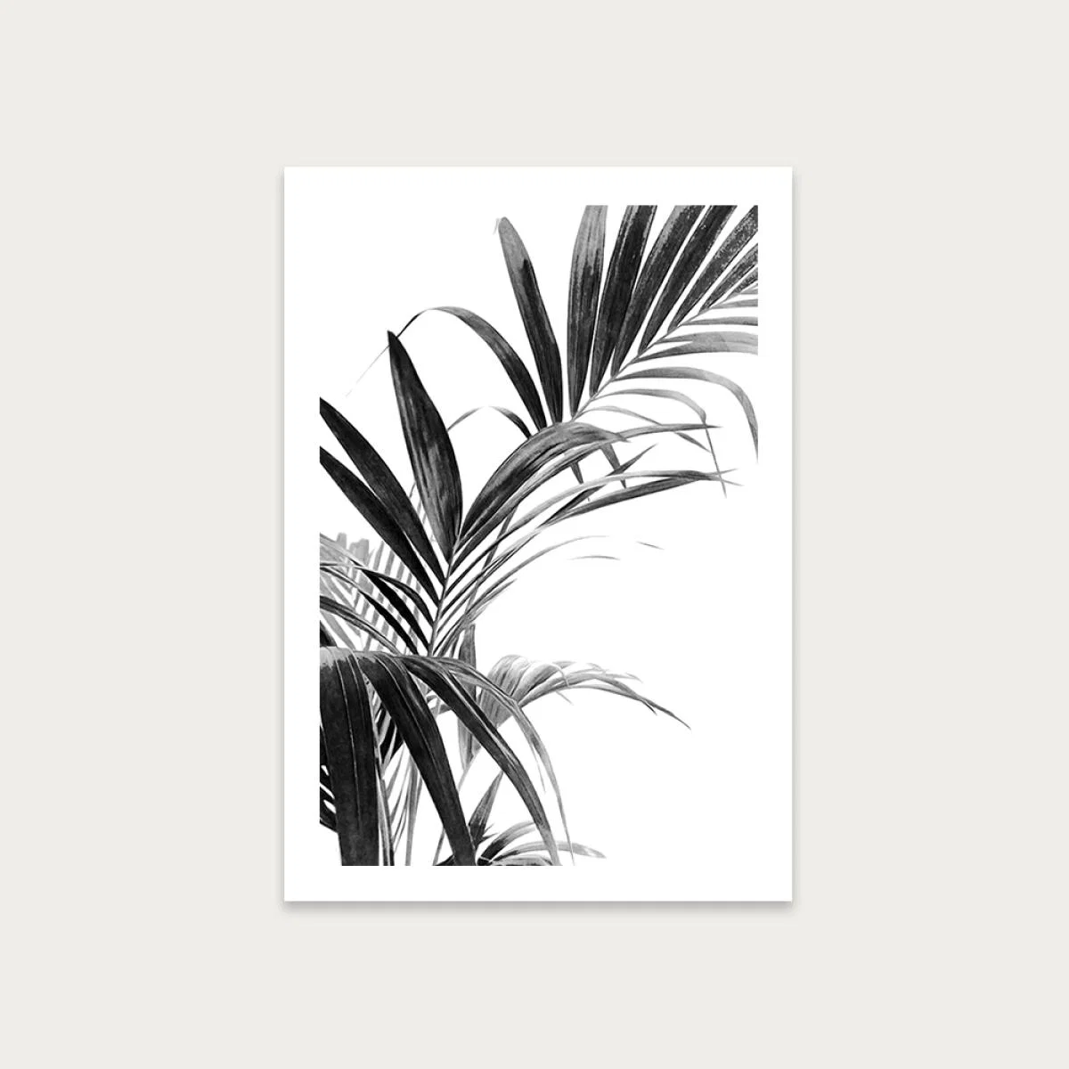 Palm Leaves Black and White 3 Art Print Unframed