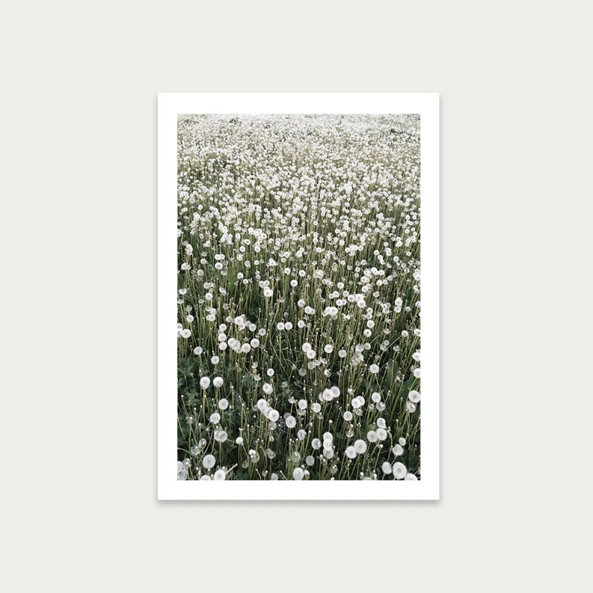 Blowball Heaven Art Print Unframed