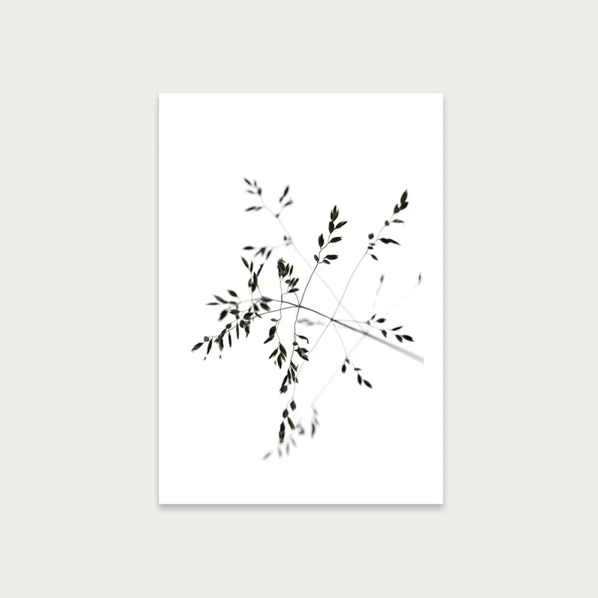 A Delicate Moment Art Print Unframed
