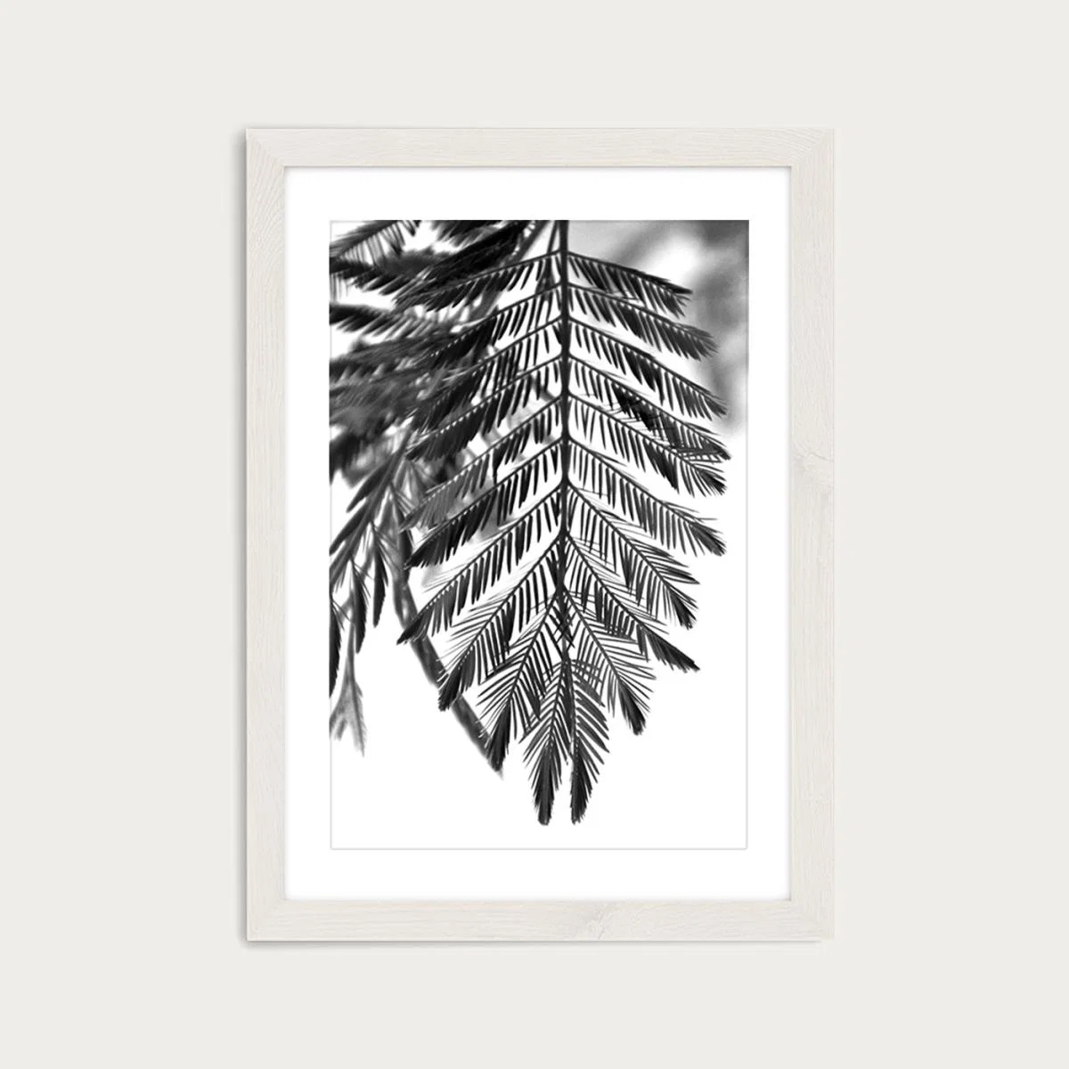 Delicate and Beautiful Plants Art Print White Frame