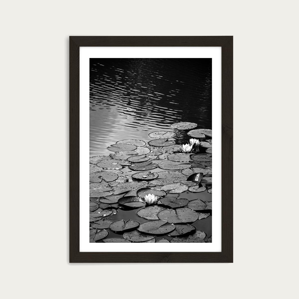 Floating on The Water Art Print Black Frame – image 1