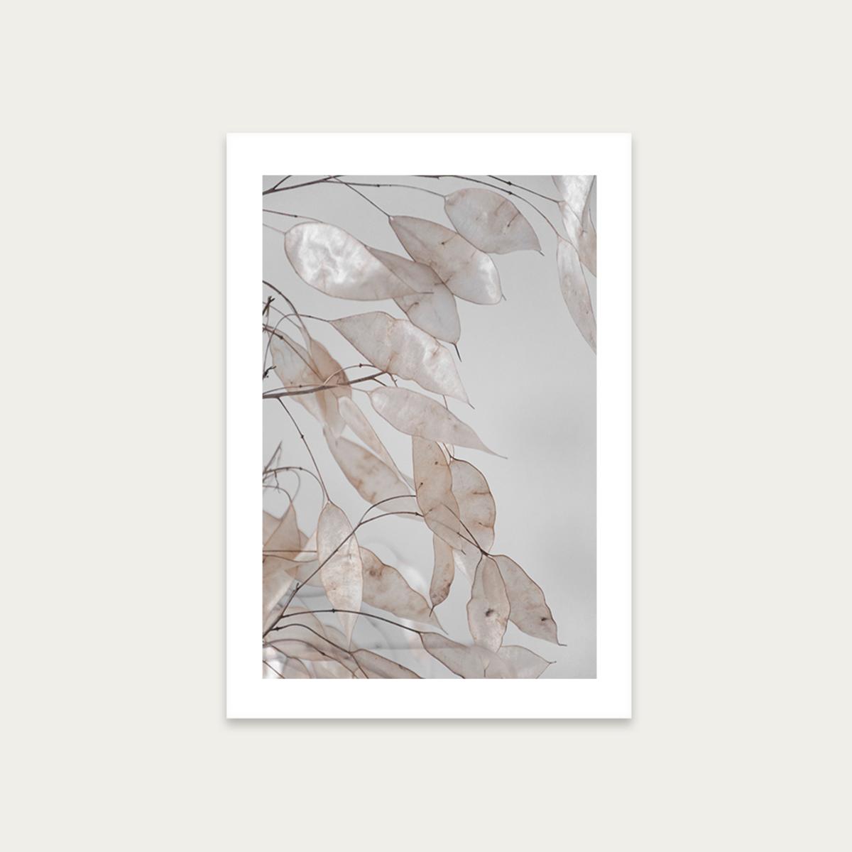 Abstract Branches Collected In The Forest Art Print Unframed