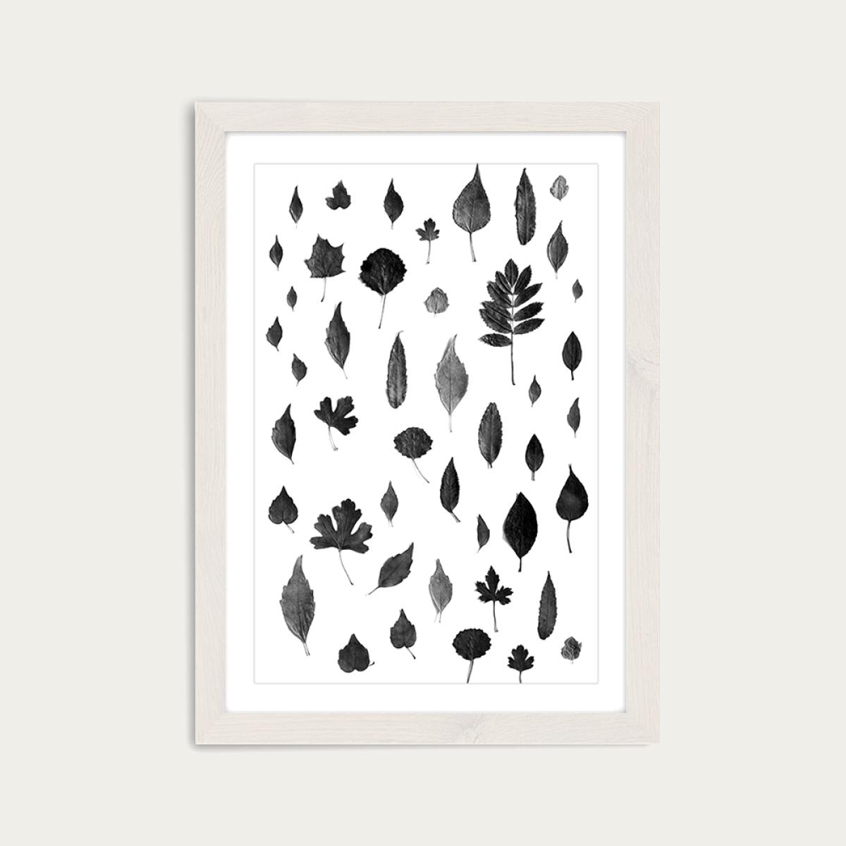 Signs of Autumn Black Art Print White Frame