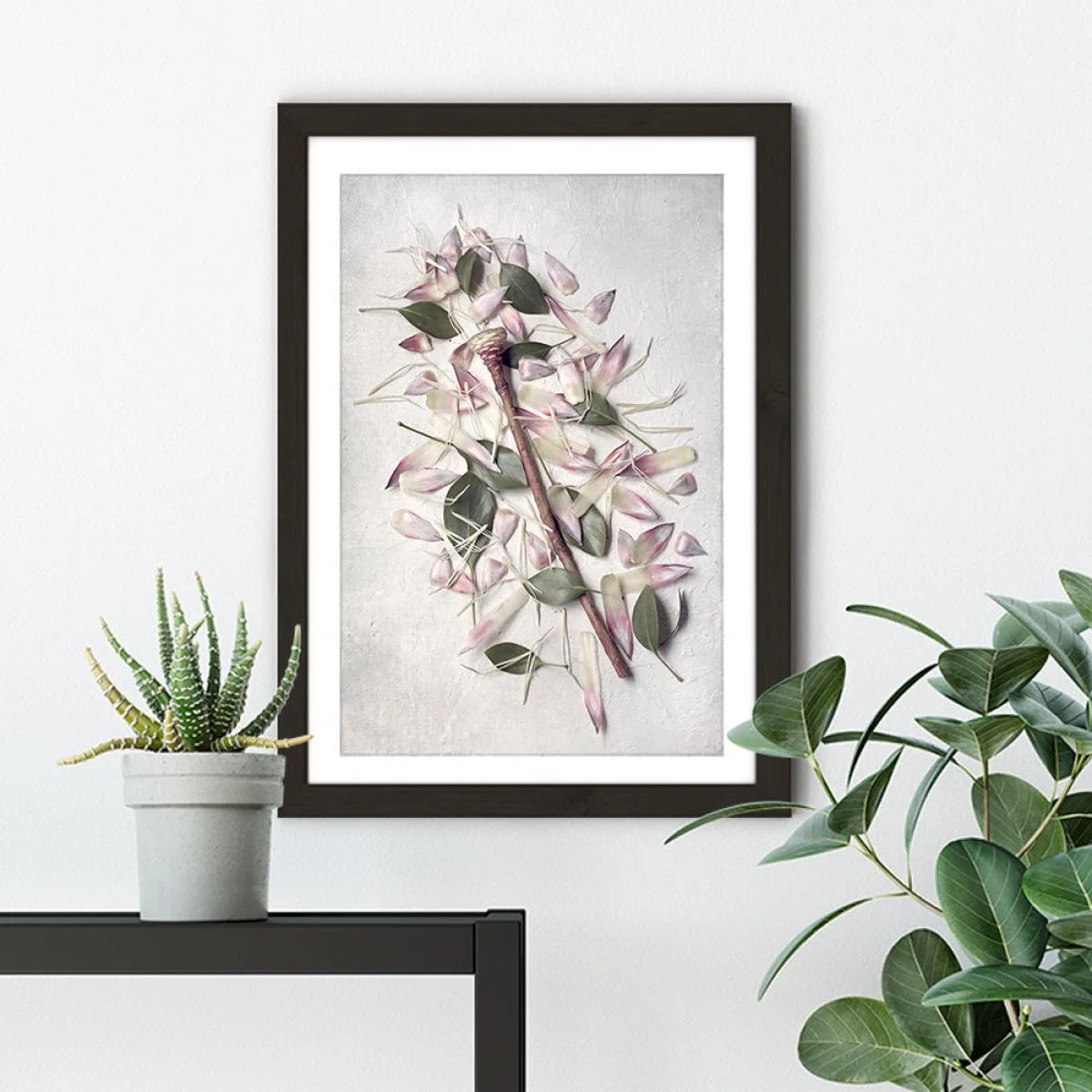 Pale Proteas PT 3 Art Print Black Frame – image 4