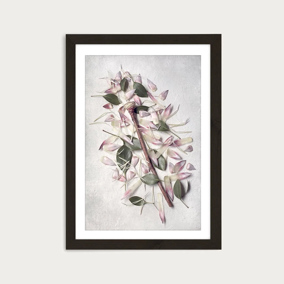 Pale Proteas PT 3 Art Print Black Frame – image 1