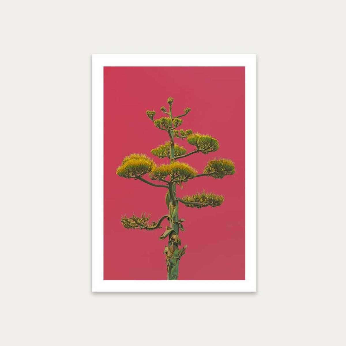 Mexico Art Print Unframed