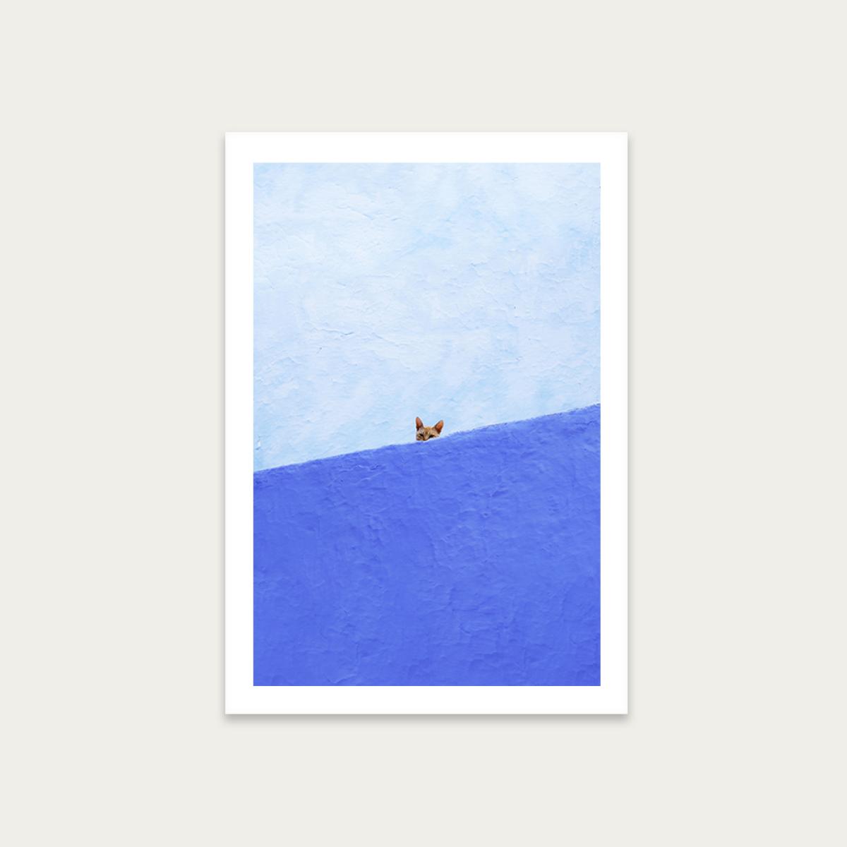 Spy Cat Art Print Unframed