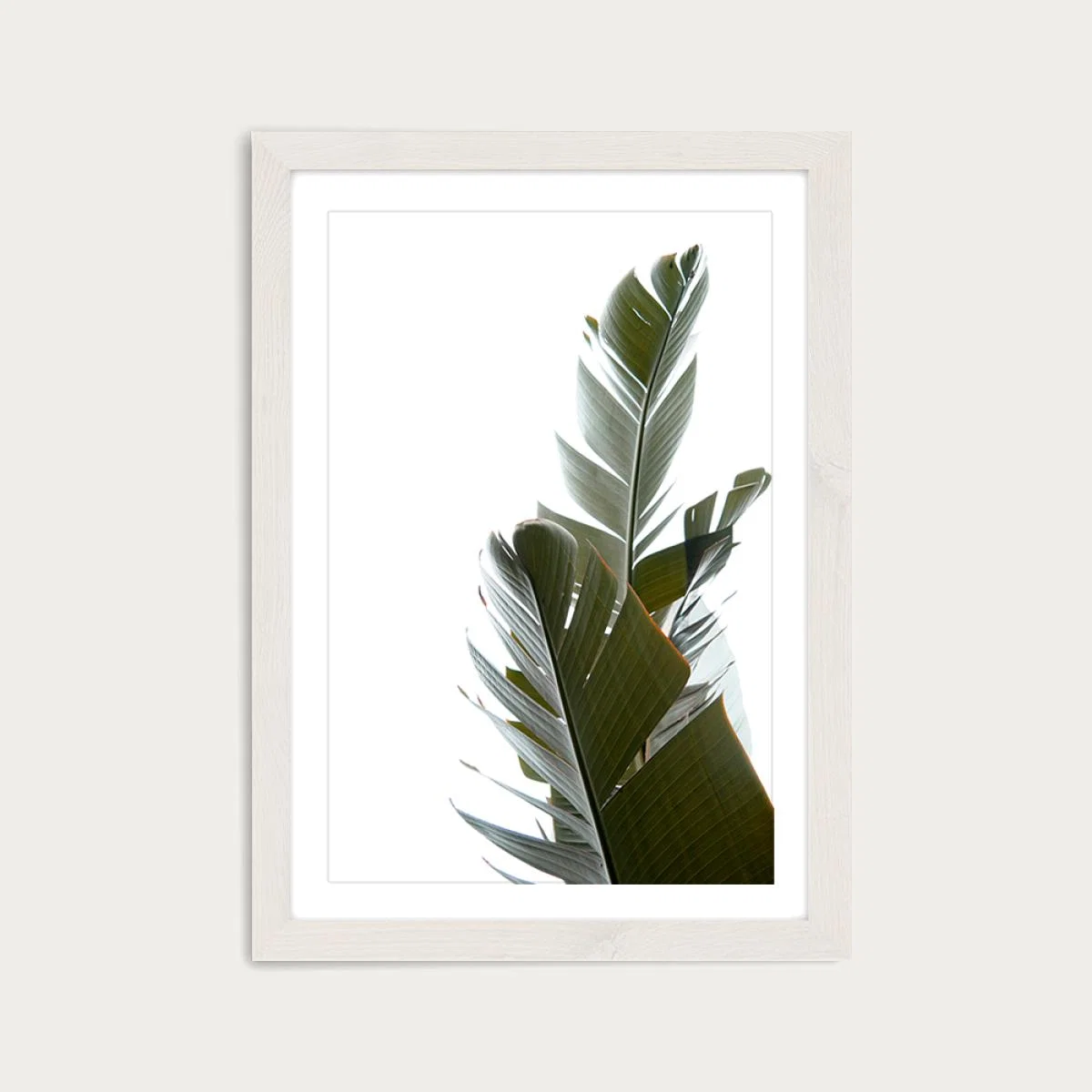 Travellers Palm Leaves 5 Art Print White Frame – image 1