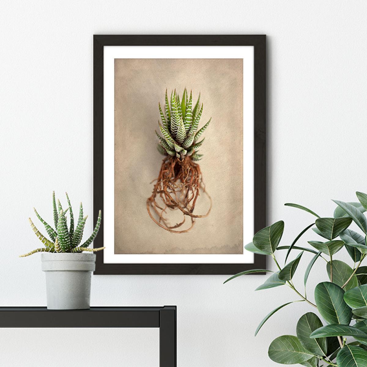 Succulent Study 1 Art Print Black Frame – image 2