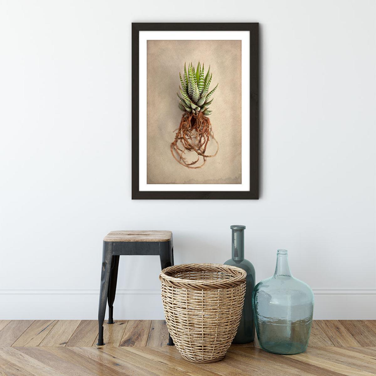 Succulent Study 1 Art Print Black Frame – image 3