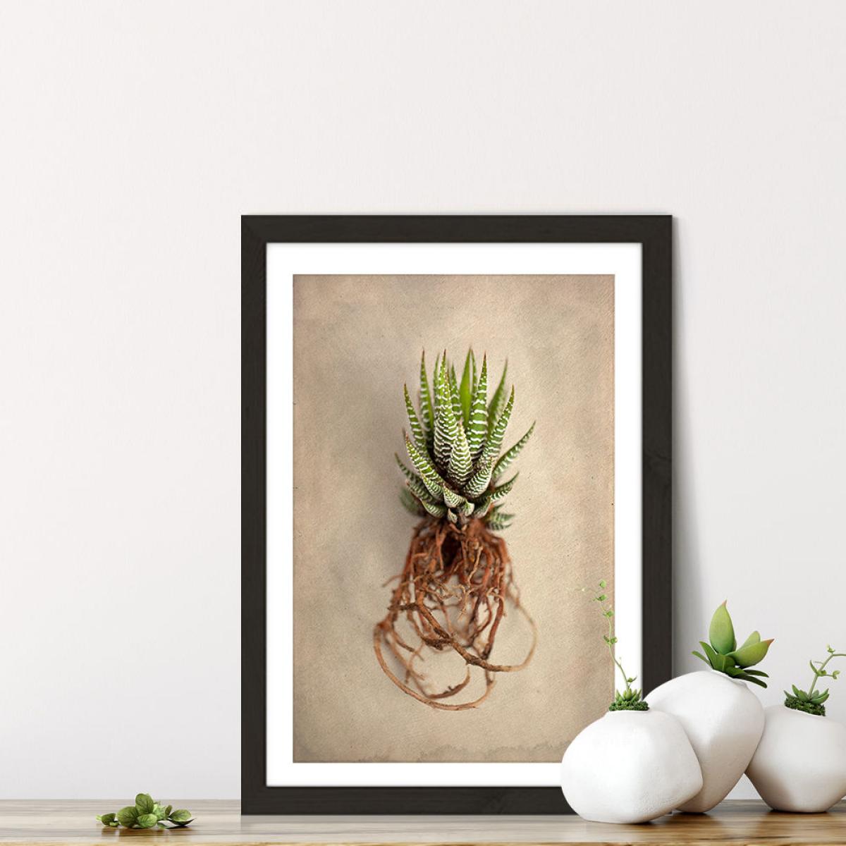 Succulent Study 1 Art Print Black Frame – image 4