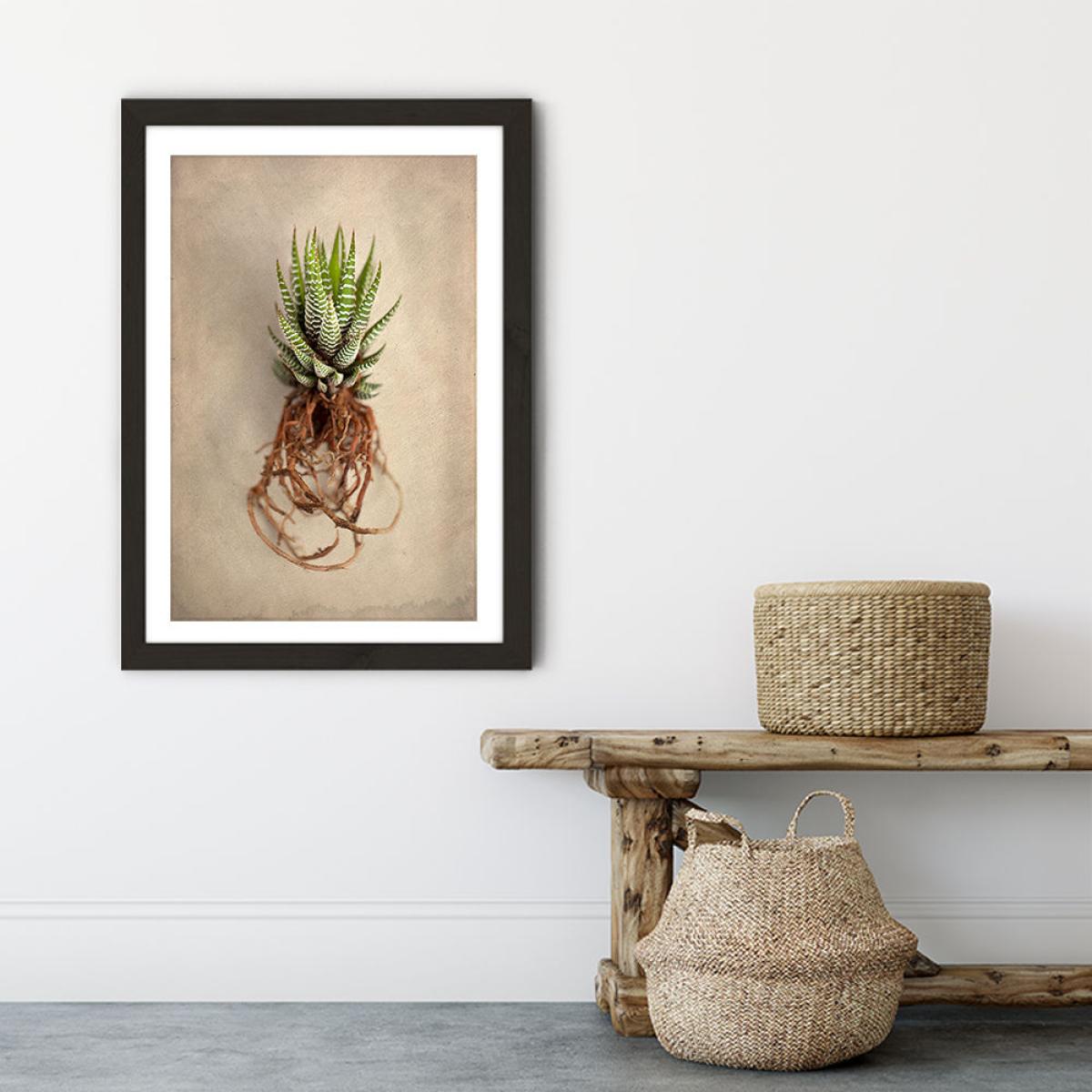 Succulent Study 1 Art Print Black Frame – image 6