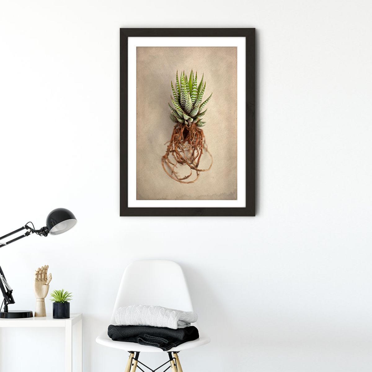 Succulent Study 1 Art Print Black Frame – image 7