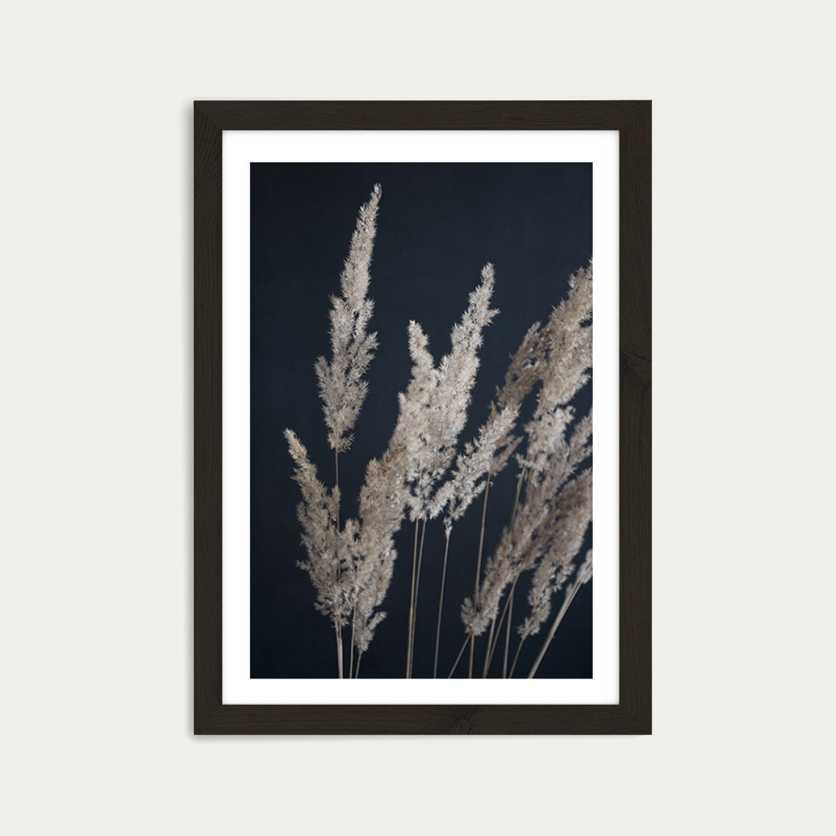 Perfect Pampas in The Dark Art Print Black Frame – image 1