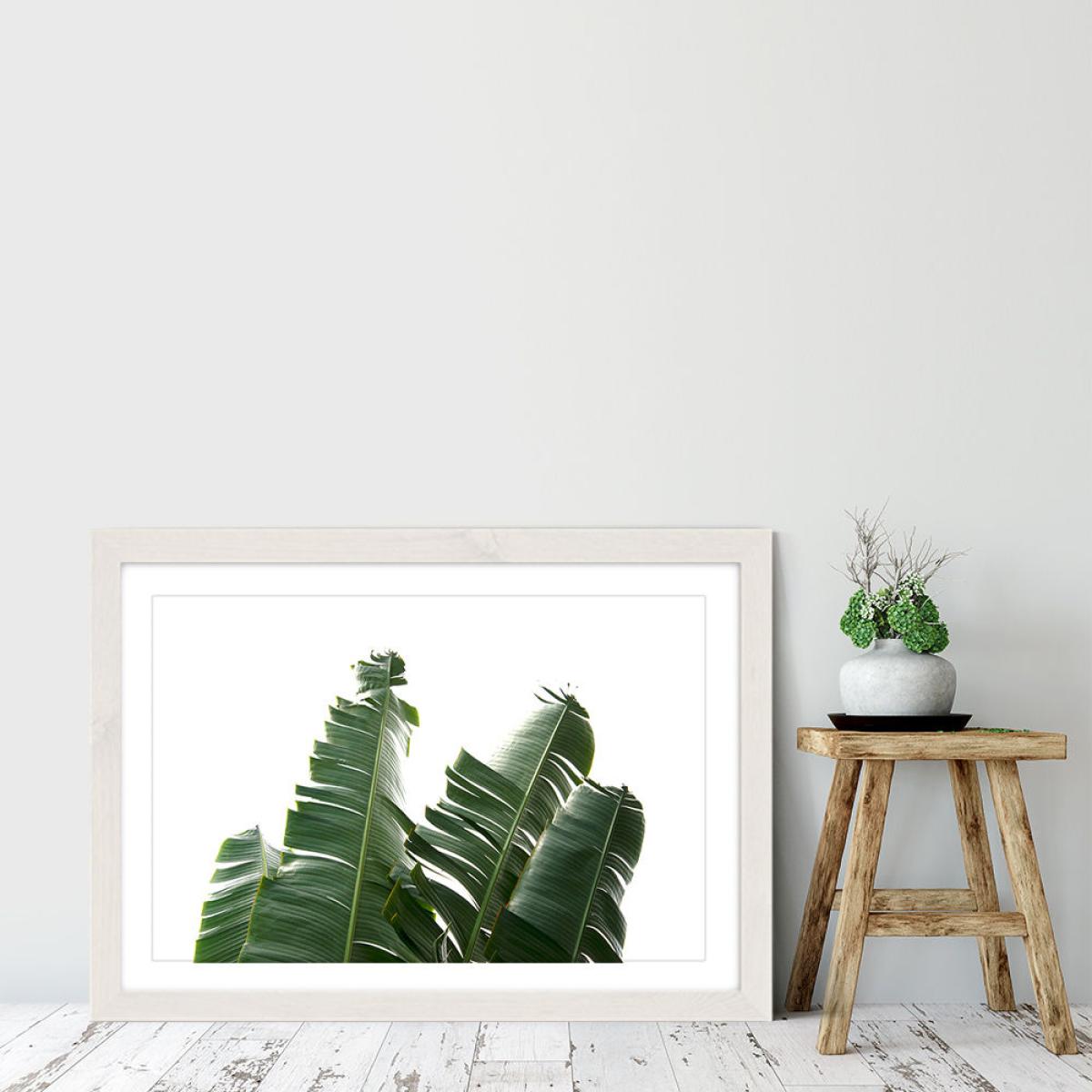 Banana Leaves 1 Art Print White Frame – image 5
