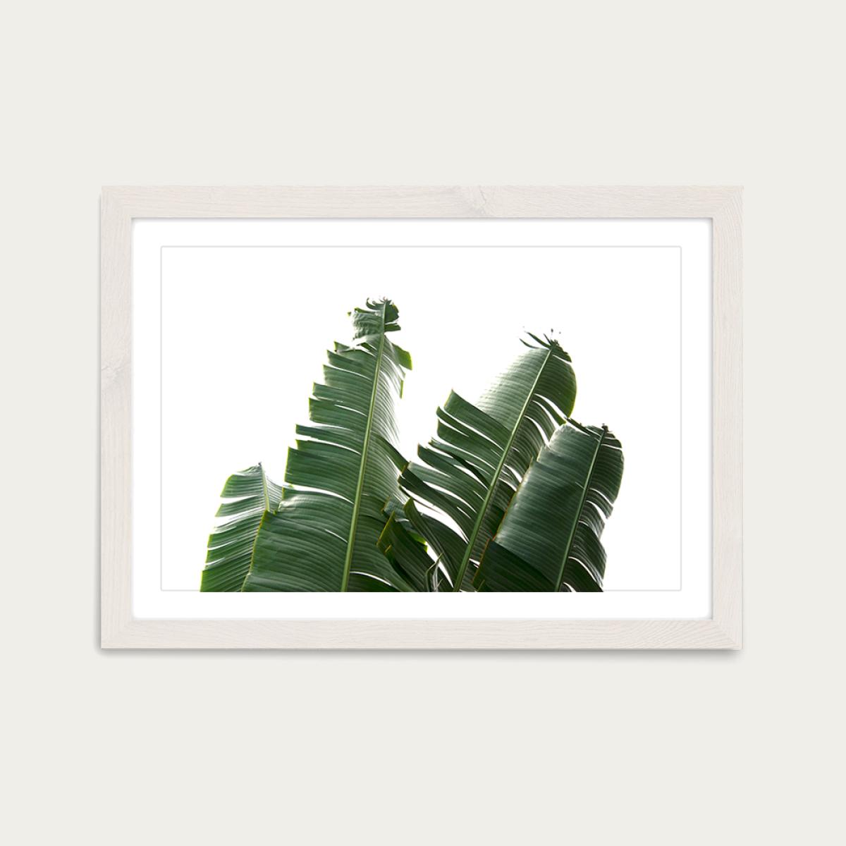 Banana Leaves 1 Art Print White Frame – image 1