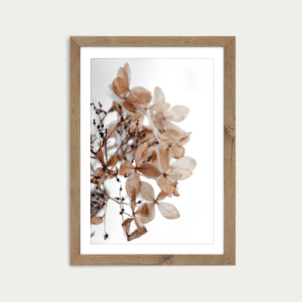 Snowy Hydrangea Flowers 1 of 2 Hortensie Art Print Oak Frame