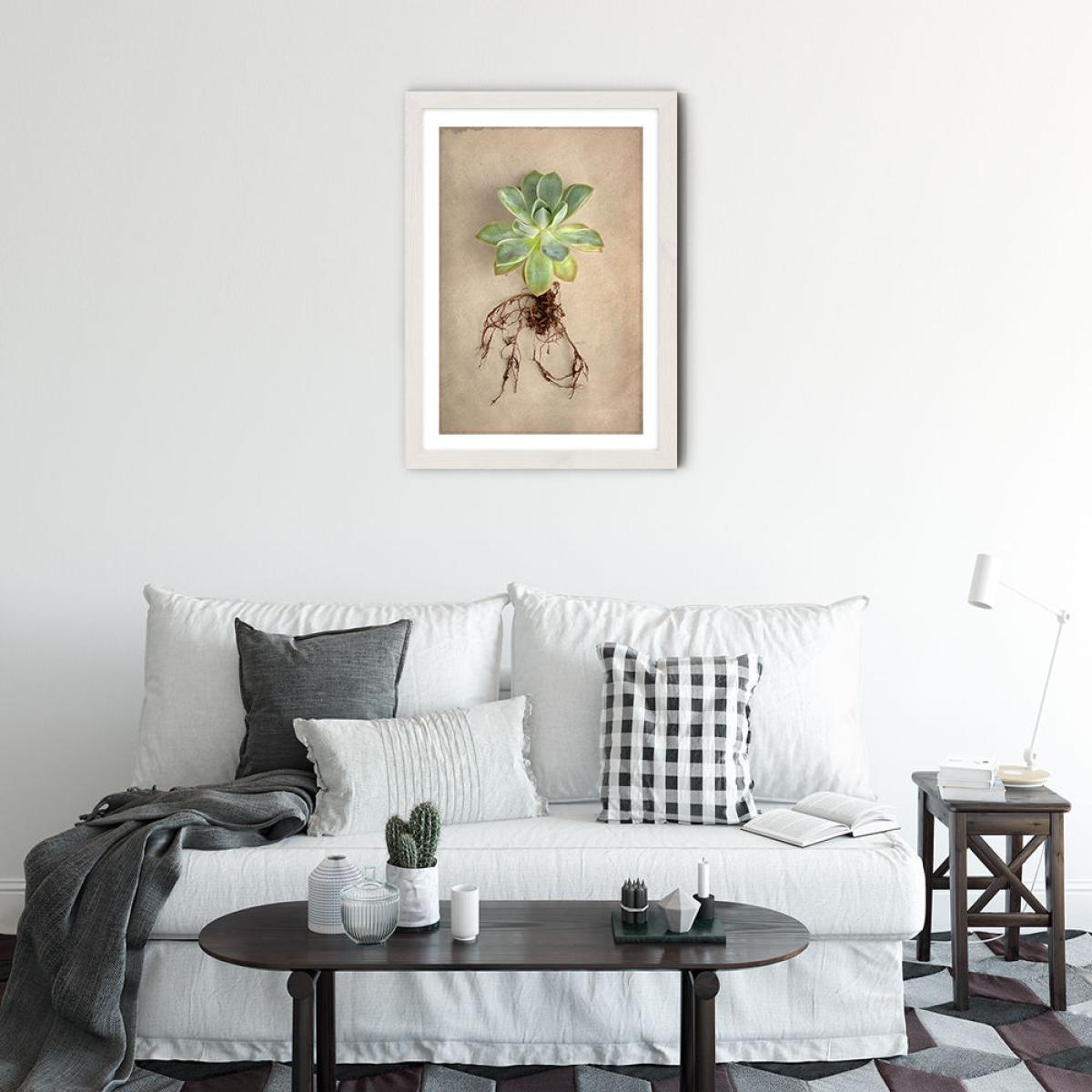 Succulent Study 5 Art Print White Frame – image 2