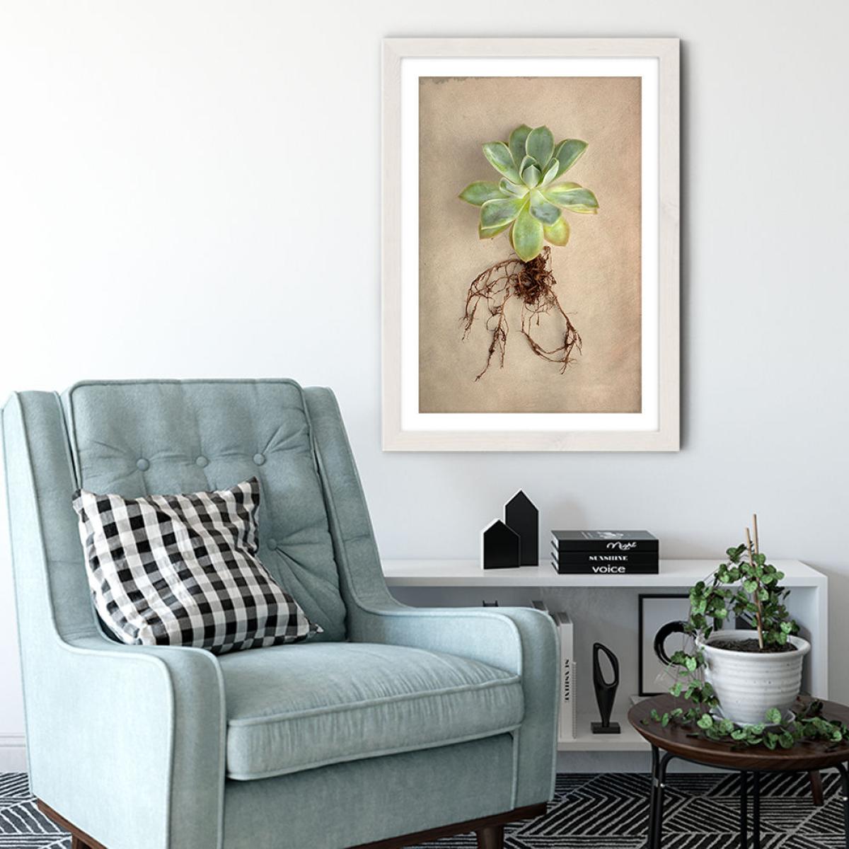 Succulent Study 5 Art Print White Frame – image 3