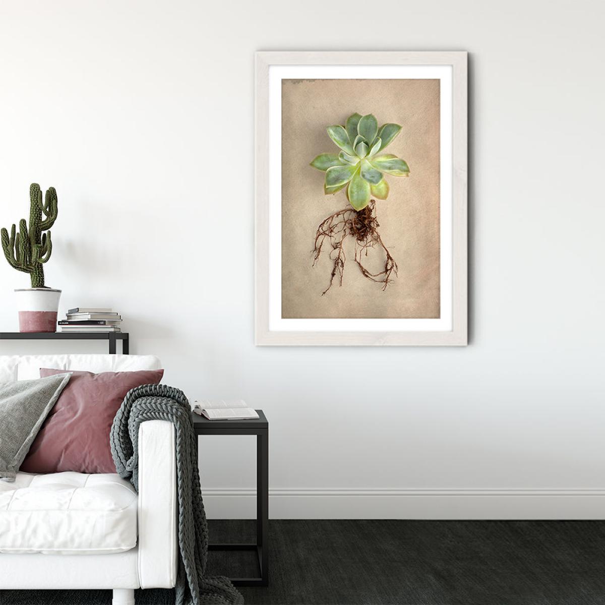 Succulent Study 5 Art Print White Frame – image 5