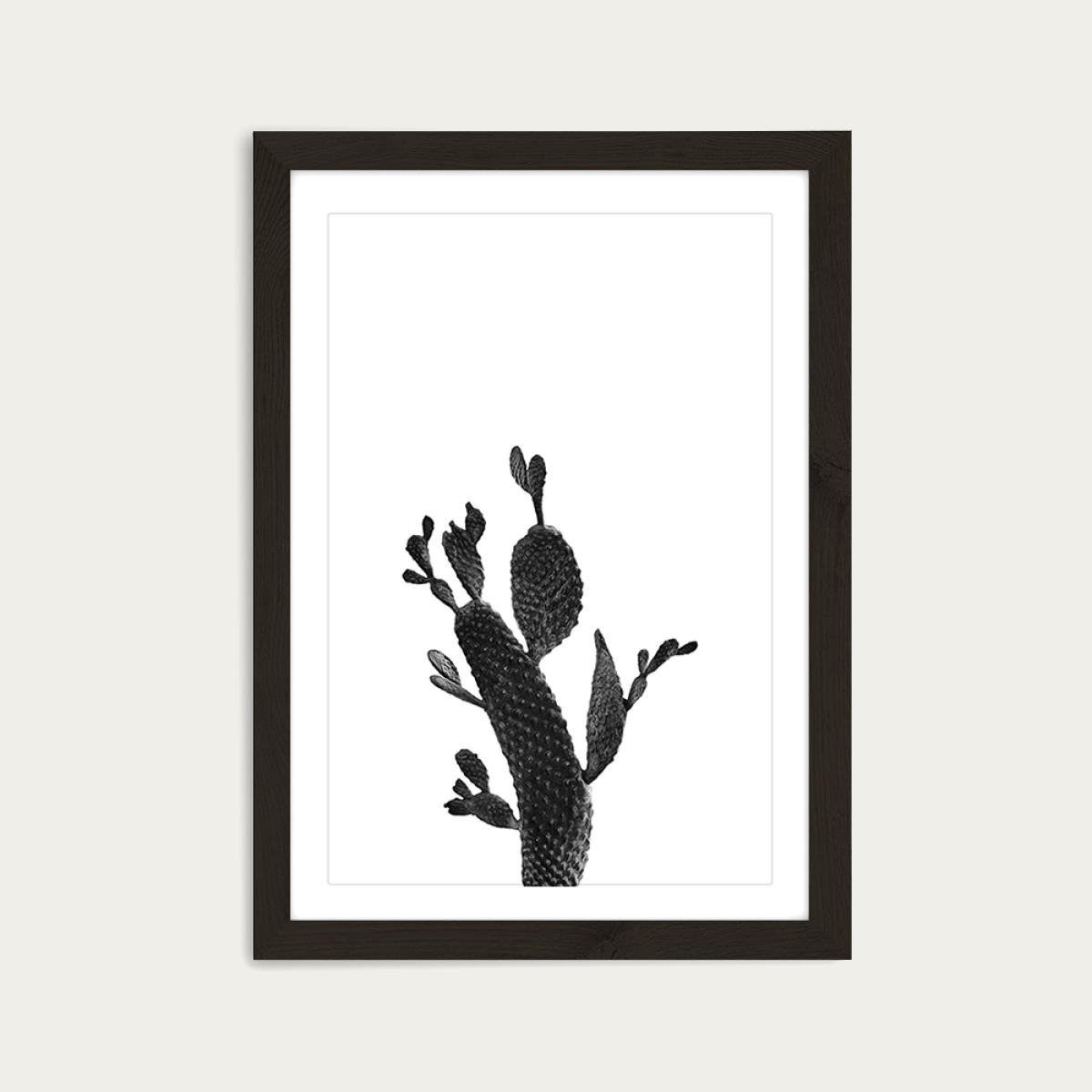 Cactus Black and White 2 Art Print Black Frame – image 1