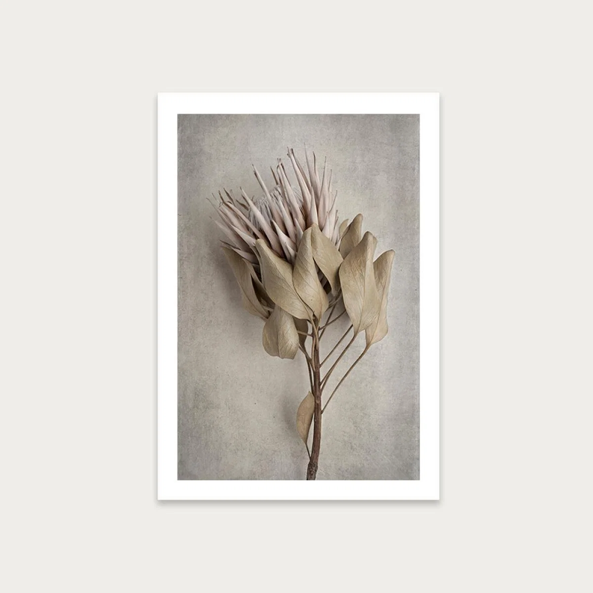 Everlasting 1 Art Print Unframed