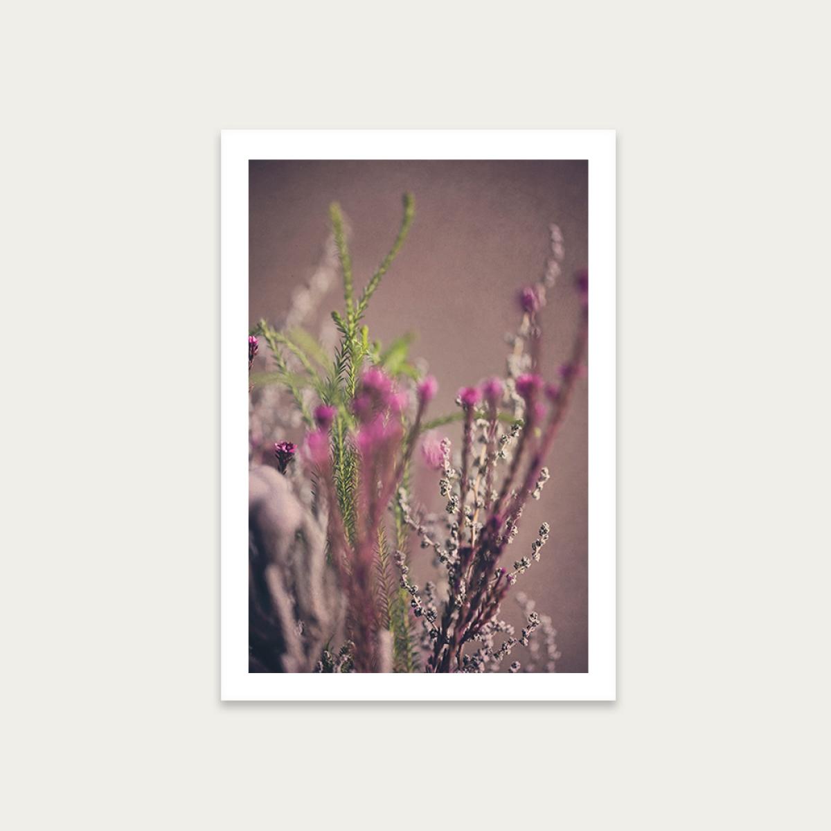 Warm Fynbos 6 Art Print Unframed