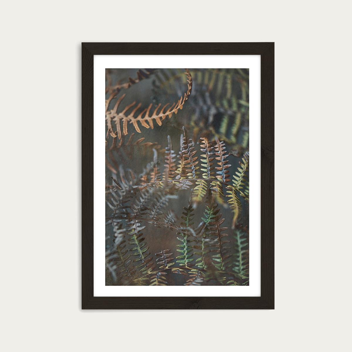 Earthy Ferns 2 Art Print Black Frame – image 1