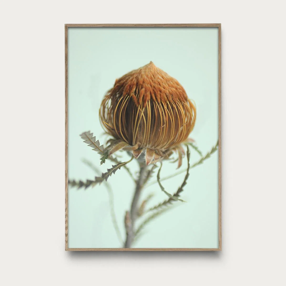 Flower 4