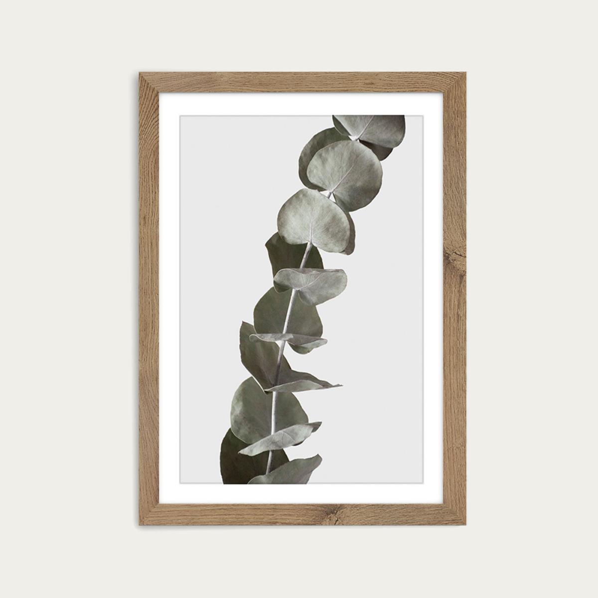 Dried Eucalyptus Branches 1 Of 3 Art Print Oak Frame – image 2