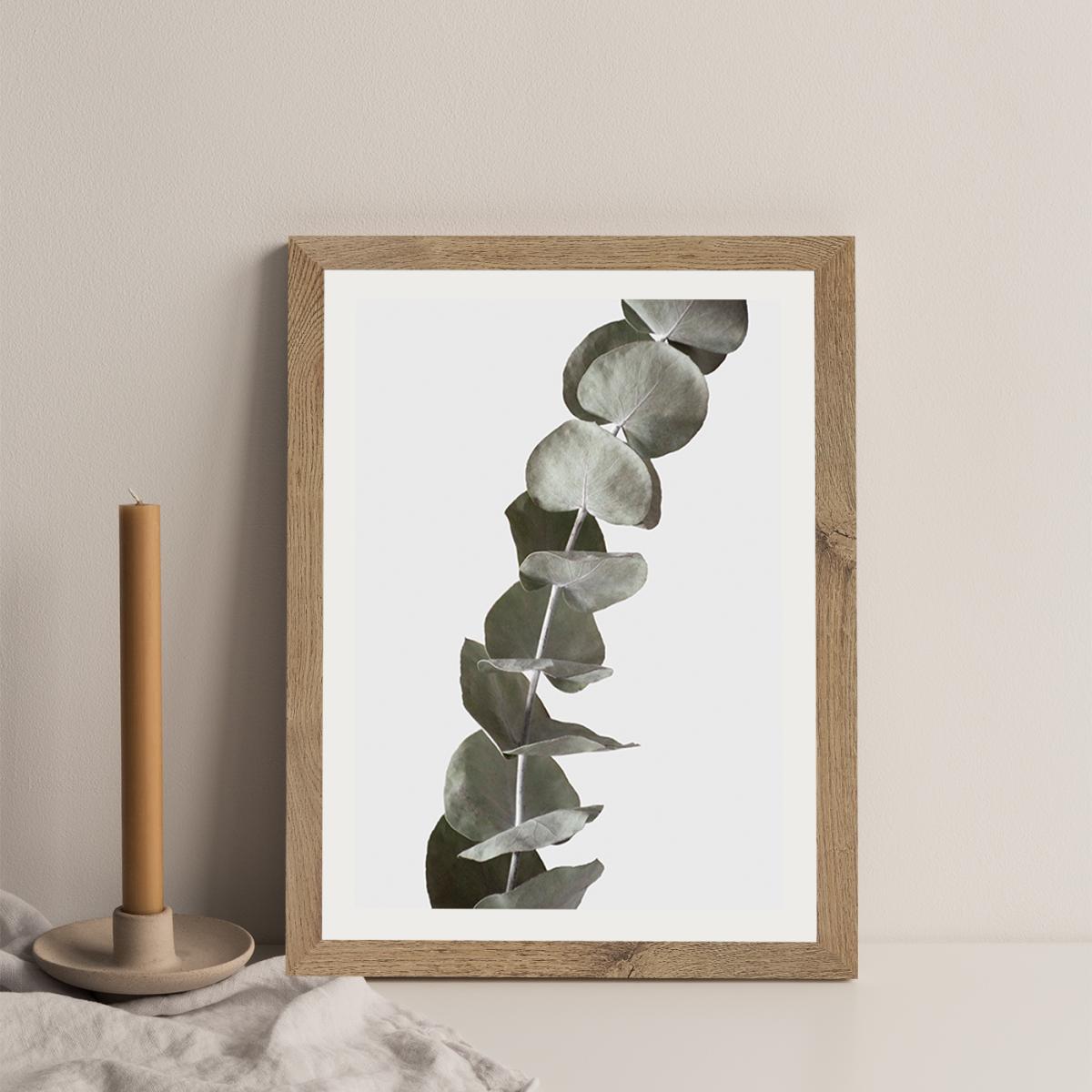 Dried Eucalyptus Branches 1 Of 3 Art Print Oak Frame – image 1