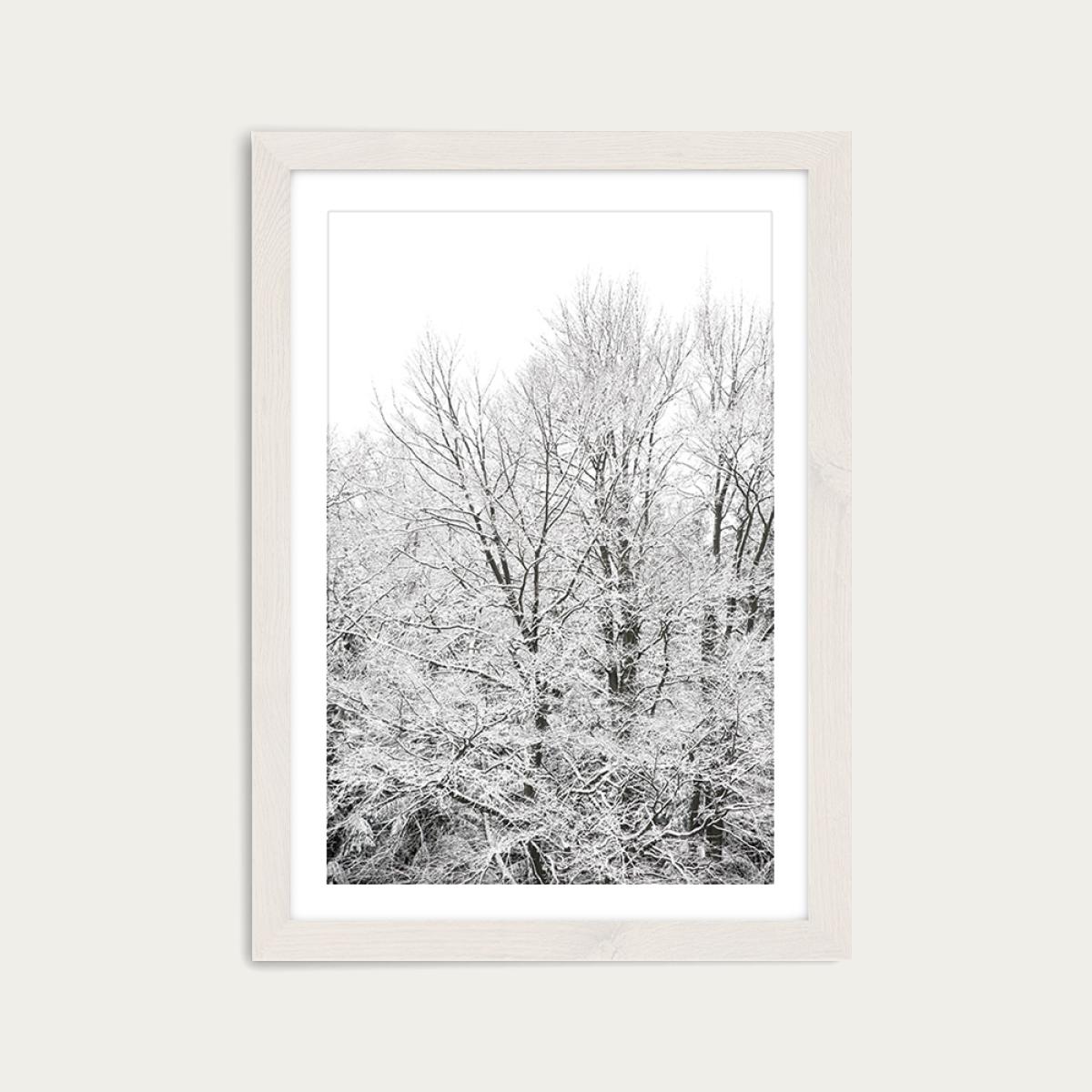 When Green Turns White Art Print White Frame – image 1