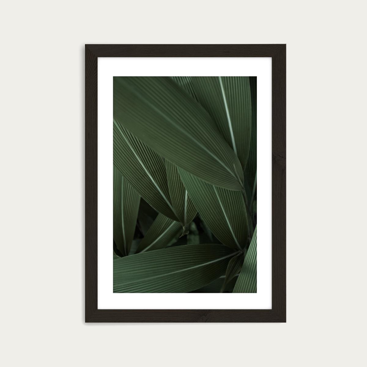 Minimal Plants Art Print Black Frame