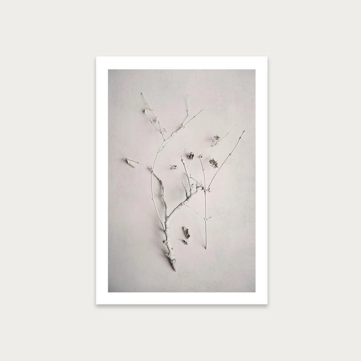 Alabaster Forest 1 Art Print Unframed