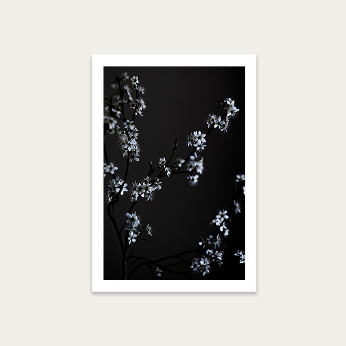 Moody Flower Beauty Art Print Unframed