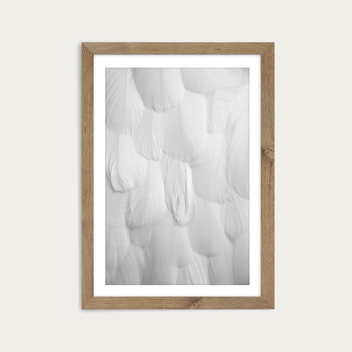 Soft White Feathers Art Print Oak Frame – image 1