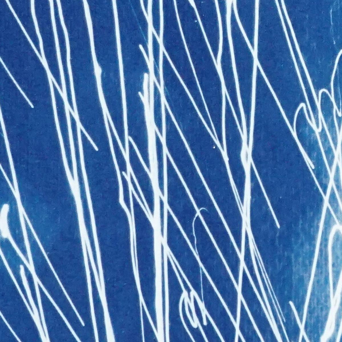 Firework Lights Handmade Cyanotype Art Print – image 3