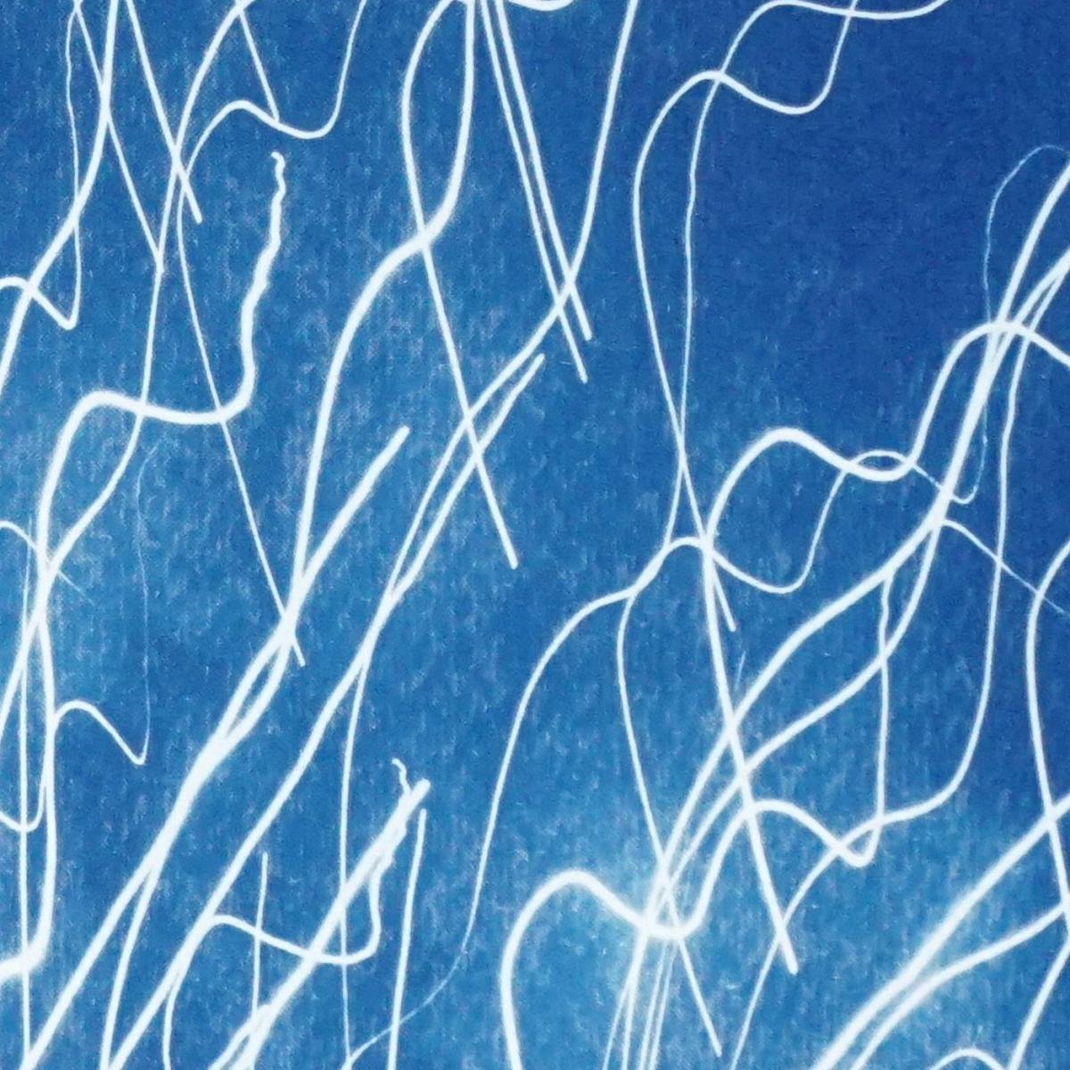 Firework Lights Handmade Cyanotype Art Print – image 6